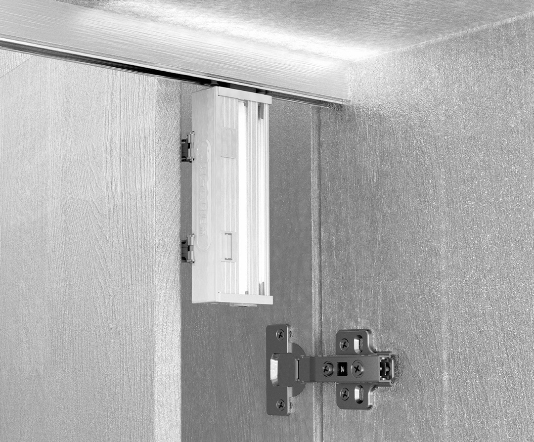Pterosaur No. 1 folding door